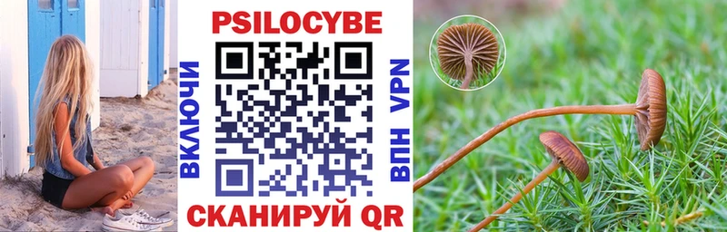 Псилоцибиновые грибы MAGIC MUSHROOMS  Тавда 