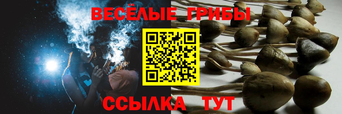 Тавда  что такое наркотик  Вход с VPN  Псилоцибиновые грибы Magic Shrooms 